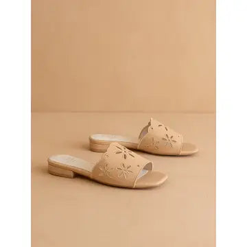 The Manila Apricot